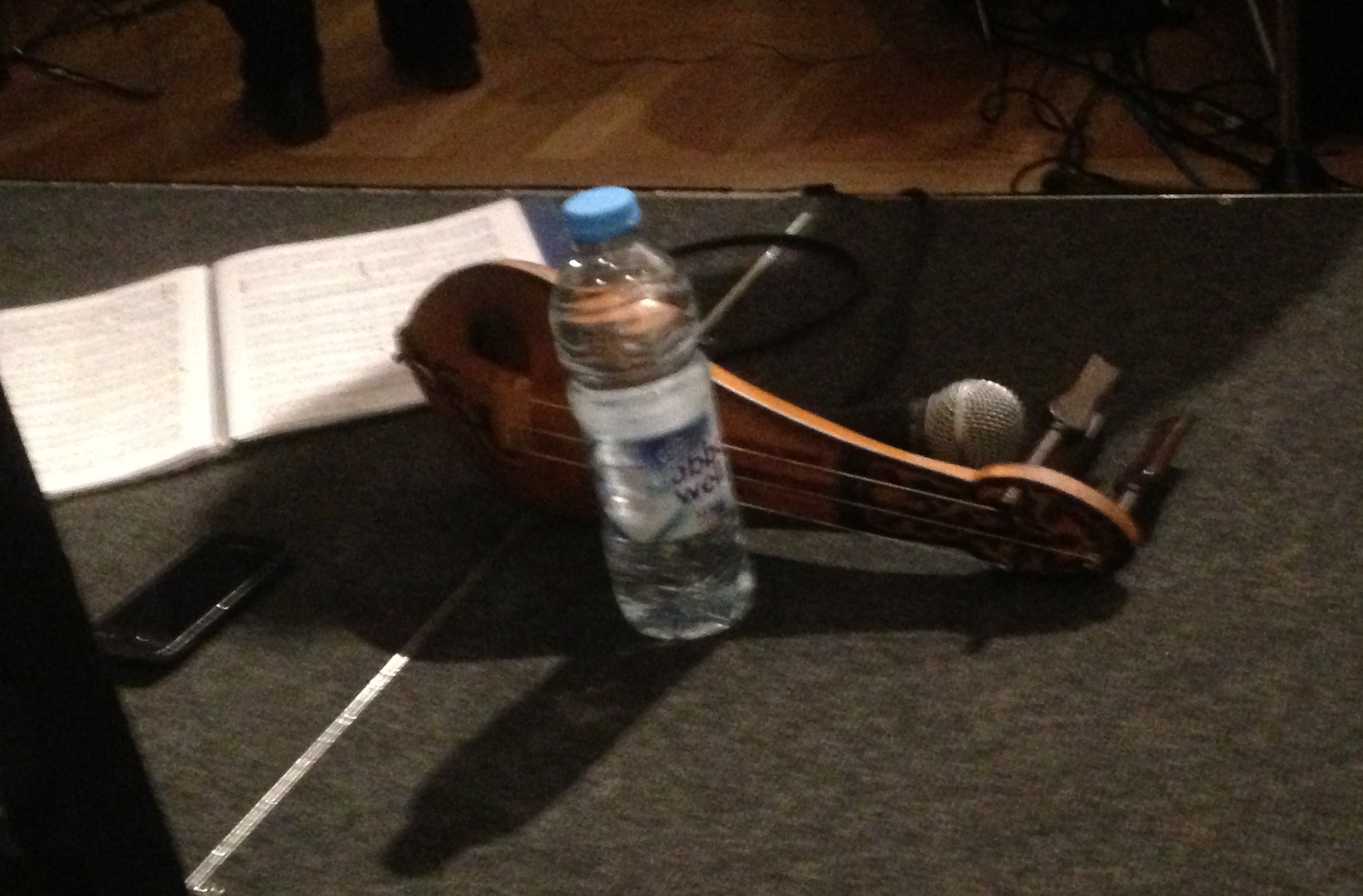 Sokratis Sinopoulos's lyra