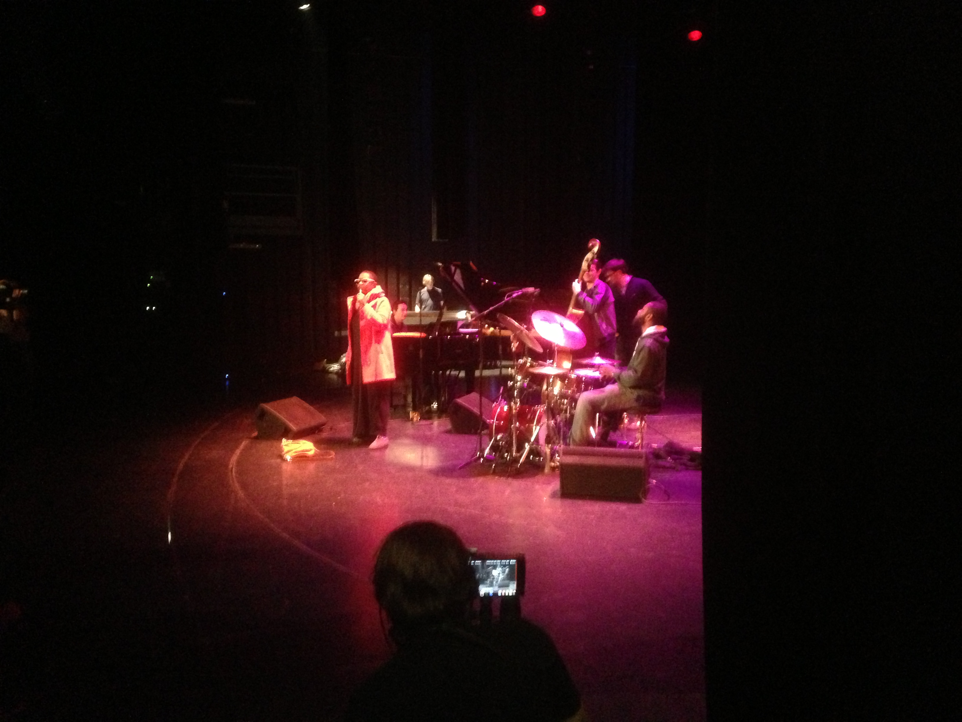 Cécile McLorin Salvant