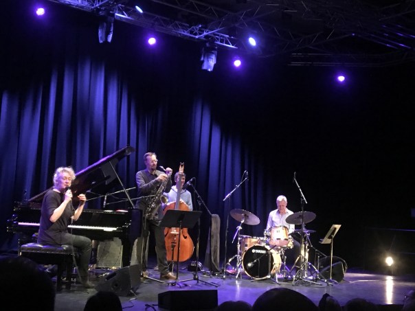 Julia Hulsmann Purcell