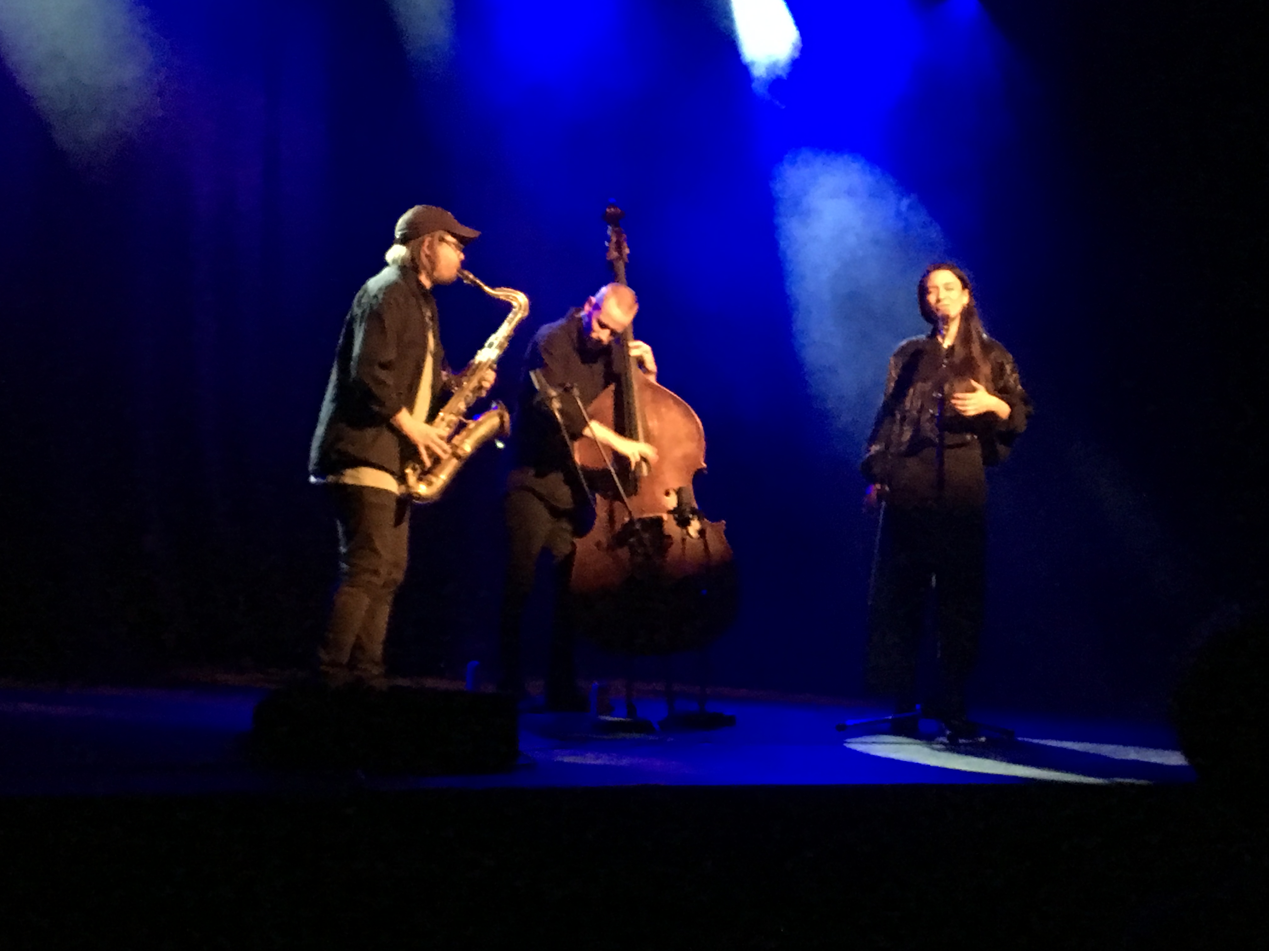 Lucia Cadotsch Purcell 2